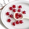 Transparent Acrylic Beads OACR-F011-20-2