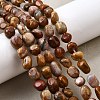 Natural Petrified Wood Beads Strands G-L621-C11-01-1