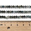 Natural Apatite Beads Strands G-RM2025-A18-3mm-B-5