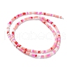 Handmade Czech Lampwork Beads Strands LAMP-L078-008C-2