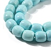 Natural Howlite Beads Strands G-L603-A01-01-4
