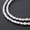 Natural Freshwater Shell Beads Strands SHEL-N027-08A-4