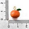 Zinc Alloy Enamel Charms FIND-U029-01G-12-3