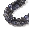 Natural Iolite Beads Strands G-J400-E05-02B-3