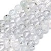 Natural Lepidolite Beads Strands G-G106-P01-03-1