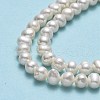 Natural Cultured Freshwater Pearl Beads Strands PEAR-F018-13D-01-4