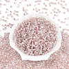 Glass Seed Beads SEED-N007-01H-2