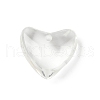 Trajnsparent Resin Pendants CRES-D306-03B-2