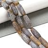 Natural Weathered Agate Beads Strands G-Q169-D04-01A-2