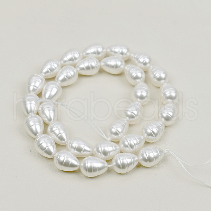 Shell Pearl Beads Strands BSHE-K010-05A-1