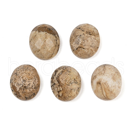 Natural Picture Jasper Cabochons G-Q186-01A-1