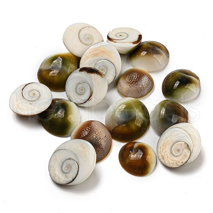 Conch Sea Shell Cabochons BSHE-Z005-08-1