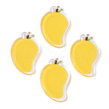 Translucent Acrylic Pendants TACR-N013-013-1