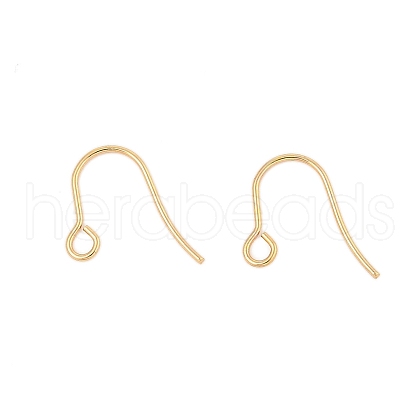 316 Surgical Stainless Steel Earring Hooks STAS-A056-11G-B-1