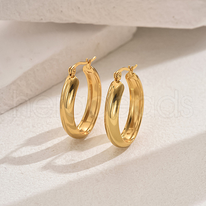 Elegant Stainless Steel Hoop Earrings TG2342-3-1