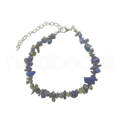 Natural Sodalite Chips Beaded Bracelet TJ9442-6-1