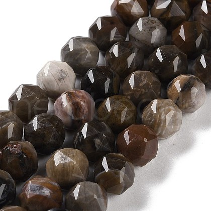 Natural Petrified Wood Beads Strands G-NH0021-A12-02-1
