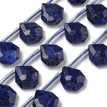 Natural Lapis Lazuli Beads Strands G-P544-C10-01-1