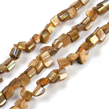 Dyed Natural Freshwater Shell Beads Strands SHEL-P016-01A-1