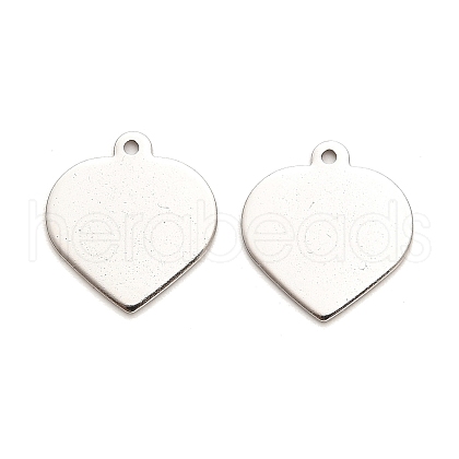 Non-Tarnish Stainless Steel Pendants STAS-L276-01P-06-1