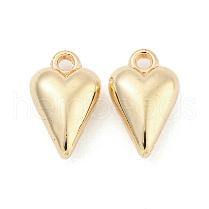 CCB Plastic Pendants CCB-L014-32G-1