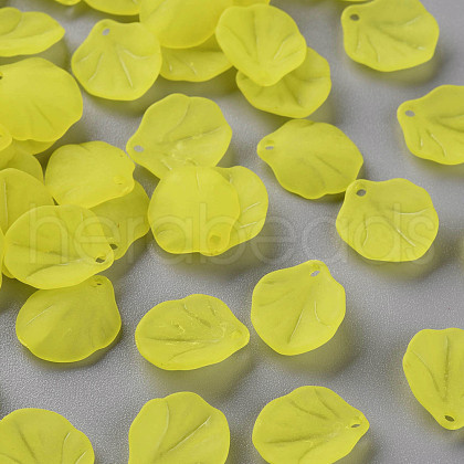 Transparent Frosted Acrylic Pendants MACR-S371-02A-717-1