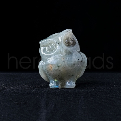Natural Labradorite Carved Healing Owl Figurines PW-WG13335-03-1
