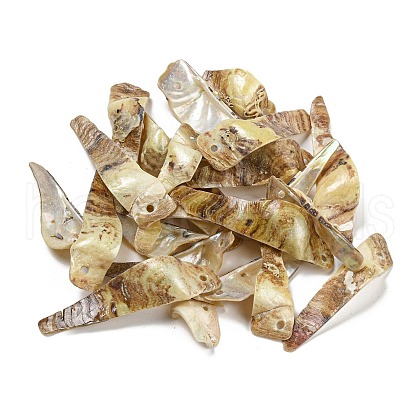 Spray Painted Natural Akoya Shell Big Pendants BSHE-G034-09G-1