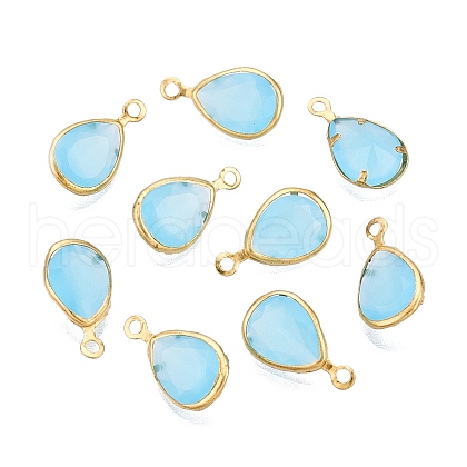K9 Glass Charms GLAA-T023-10C-1