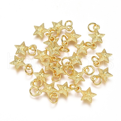 Electroplated Alloy Charms PALLOY-G267-09G-1