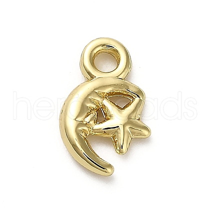 Alloy Pendants FIND-A051-02B-G-1
