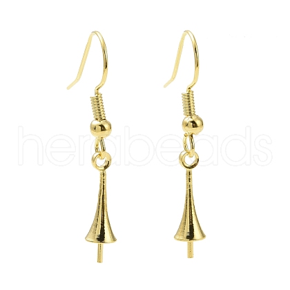 Rack Plating Brass Earring Hooks KK-F839-026G-1