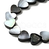 Natural Black Lip Shell Beads Strands BSHE-D300-06B-3