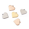 304 Stainless Steel Charms STAS-BT0001-03-6