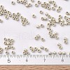 MIYUKI Delica Beads X-SEED-J020-DB0335-4