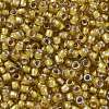 TOHO Round Seed Beads SEED-TR08-0389-2