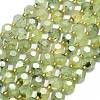 Natural Prehnite Beads Strands G-C116-A07-02-2
