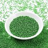 MIYUKI Round Rocailles Beads SEED-G007-RR0015-2