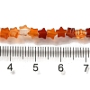 Natural Carnelian Beads Strands G-G085-B35-01-4