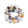 Natural Botswana Agate Beads Strands G-F725-32-2