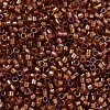MIYUKI Delica Beads X-SEED-J020-DB1736-3