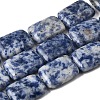 Natural Blue Spot Jasper Beads Strands G-S386-A05-2