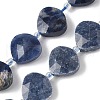 Natural Sodalite Beads Strands G-D316-A02-2