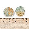 Transparent Glass Beads DGLA-E004-11G-3