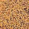 8/0 Inside Colours Transparent Glass Seed Beads X1-SEED-T007-06F-2