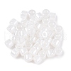 Glass Seed Beads SEED-T008-01A-2
