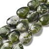 Natural Prehnite Beads Strands G-P528-L01-01-1