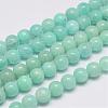 Natural Amazonite Bead Strands G-P204-01-8mm-1