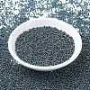 MIYUKI Round Rocailles Beads SEED-X0054-RR0456-2