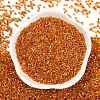Electroplate Glass Seed Beads SEED-H003-10F-3
